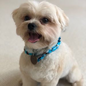 Meet your Posher, Do